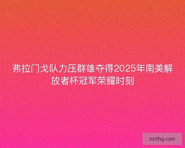 弗拉门戈队力压群雄夺得2025年南美解放者杯冠军荣耀时刻